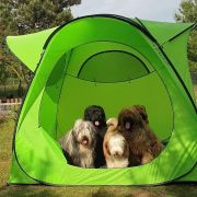 ROYAL QUEEN ELIZABETH Victory of Love