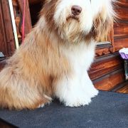 ROYAL QUEEN ELIZABETH Victory of Love