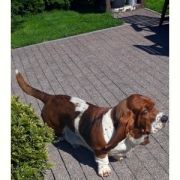 Rózia Klan Piegowatych 3