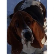 Rózia Klan Piegowatych 4