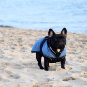 RUBINA Azzurro Tesoro FCI 3