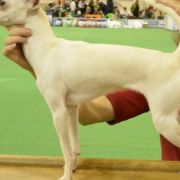 RUSSKIY DZHEKPOT BLONDINKA V ZAKONE