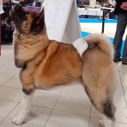 Ruthdales Prada In Red 2