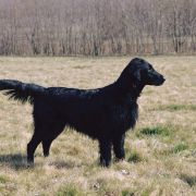 Sailing Team FCI Dragon Dream – Cindy 2