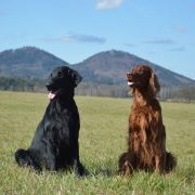 Sailing Team FCI Dragon Dream – Cindy 3