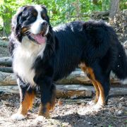 Salwador & Hugo Łużycka Dolina