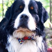 Salwador & Hugo Łużycka Dolina 2