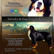 Salwador & Hugo Łużycka Dolina 3