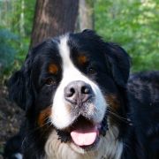 Salwador & Hugo Łużycka Dolina 4