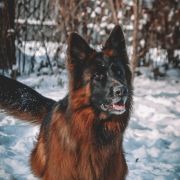 Santa Barbara von Vivaland