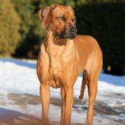 Sarbina Southern Africa 