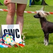 Sasquehanna Koszonom 2