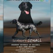  Seaheart CONALL