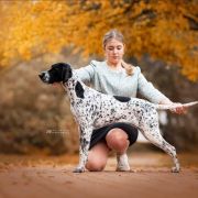 Sensacja All Irish Gold 3