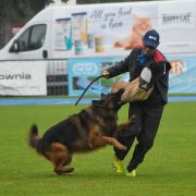  SG1(PL)-Avatar von Gran Peregrino 