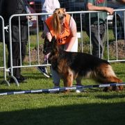 V6(PL) Dila vom Trojangold