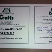 SHIMMER OF THE RING Czar Krakowa