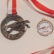 SHIMMER OF THE RING Czar Krakowa