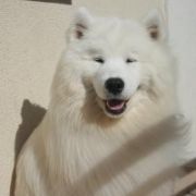 Smiling Miracle FAMOUS IDOL 3