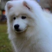 Smiling Miracle JUST LIKE HEAVEN 4