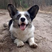 Solar Satelitte KEVIN 