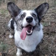 Solar Satelitte KEVIN 