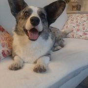 Solar Satelitte KEVIN 