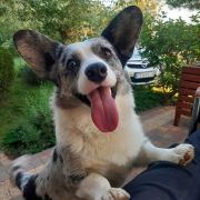 Solar Satelitte KEVIN 