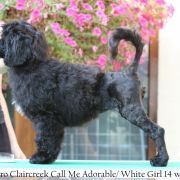 Special Vero Claircreek Call Me Adorable