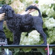 Special Vero Claircreek Call Me Cute