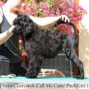 Special Vero Claircreek Call Me Cute