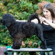 Special Vero Claircreek Call Me Fabulous