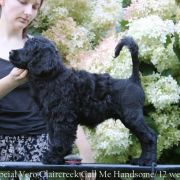 Special Vero Claircreek Call Me Handsome