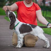 Springberryhills Bear Magic