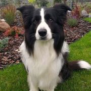 STARLIGHT IN SAN MARINO Clan Fair Play 2