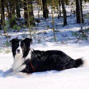 STARLIGHT IN SAN MARINO Clan Fair Play 3