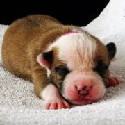 INCREDIBLE HAPPINESS Child of Love