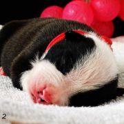 I LOVE YOU Child of Love