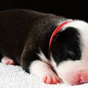 I LOVE YOU Child of Love