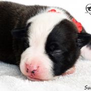 I LOVE YOU Child of Love