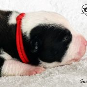 I LOVE YOU Child of Love