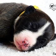 INFERNAL QUEEN Child of Love