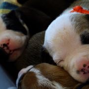 IRON LADY Child of Love