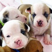 IRON LADY Child of Love