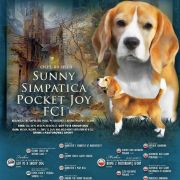 SUNNY SIMPATICA Pocket Joy 3