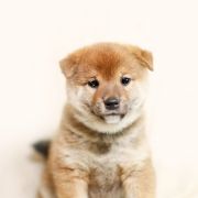 Szary (kolor znacznika) 3