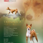 TAJEMNICA Ballada o Wędrowaniu