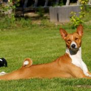 TAJEMNICA Ballada o Wędrowaniu 2