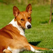 TAJEMNICA Ballada o Wędrowaniu 3