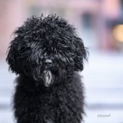 Tarifa Playa Bona Espero